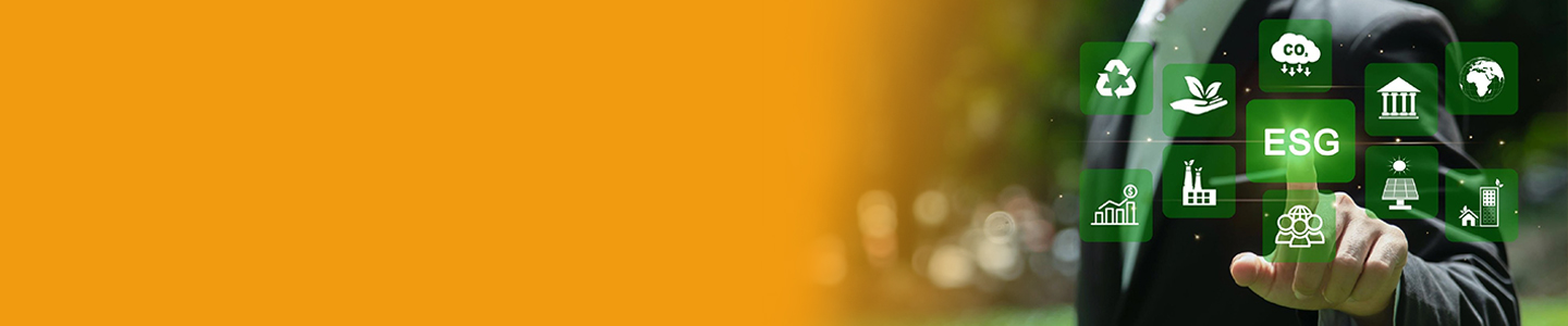 MG不朽情緣發展有限公司